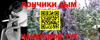 ПСИЛОЦИБИНОВЫЕ ГРИБЫ Камышлов