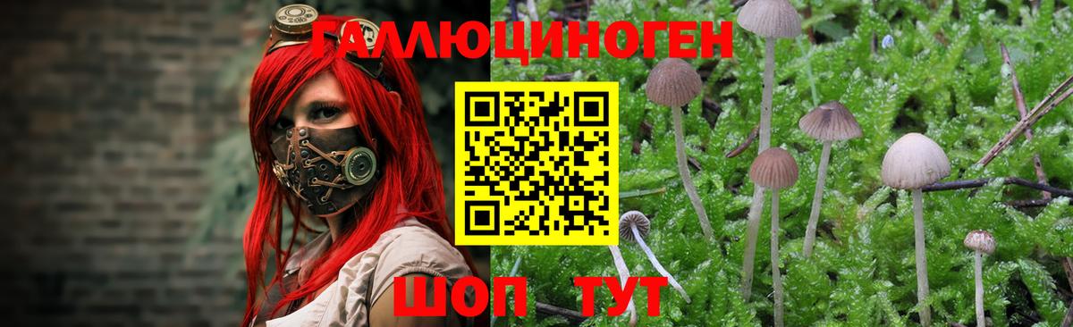 Псилоцибиновые грибы мицелий Дюртюли
